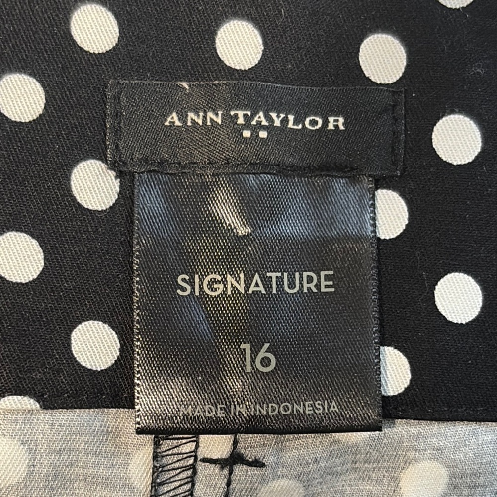 Ann Taylor Factory Black and White Flat Front Shorts - Picture 3 of 4
